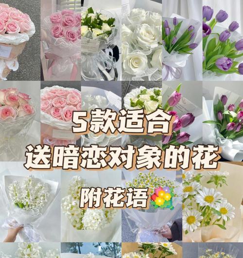 送给TA一份清新自然的礼物——蓝桉花语（了解蓝桉的花语，让礼物更有意义）