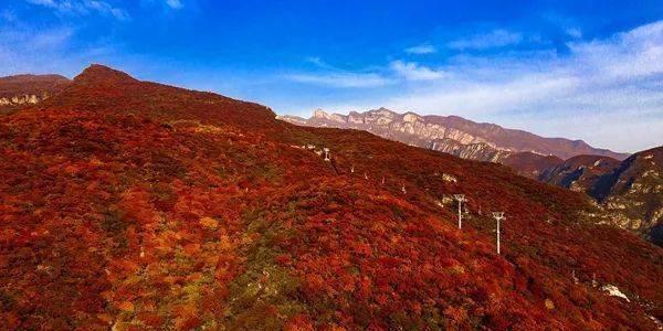 黄栌象征的深刻寓意（探寻黄栌在文化中的重要地位）