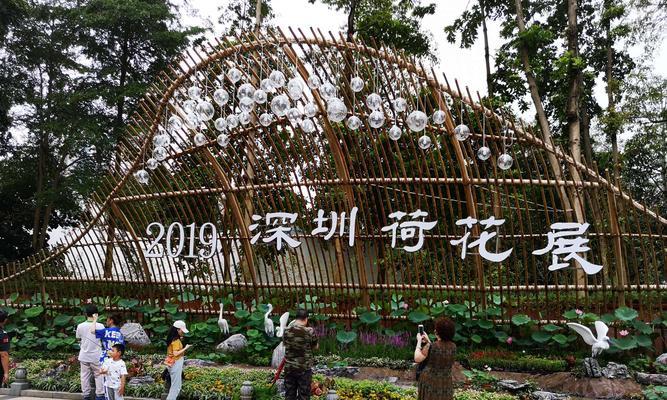 廉洁之道（以自然为师，用植物传递廉洁之美）