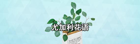 尤加利叶的花语与意义（探秘尤加利叶的传统和现代象征意义）