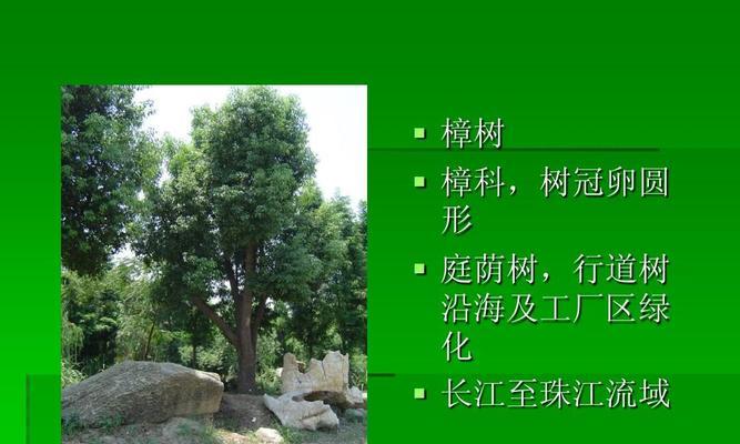 园林植物常用种类详解（掌握这些种类，打造美丽园林）