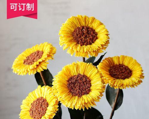 如何制作向日葵干花（简单易学的干花制作技巧）