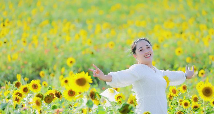 向日葵花的花语与意义（阳光与希望的象征——向日葵花语解读）