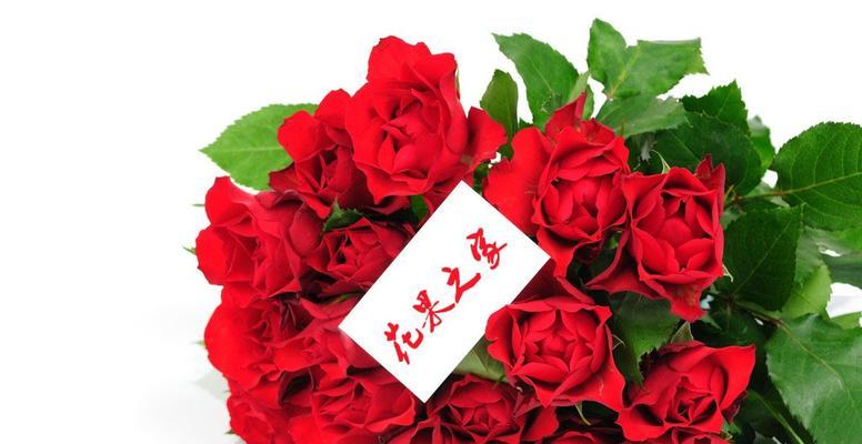 21朵玫瑰花语，浪漫之语传情达意（用花语讲述爱的故事）