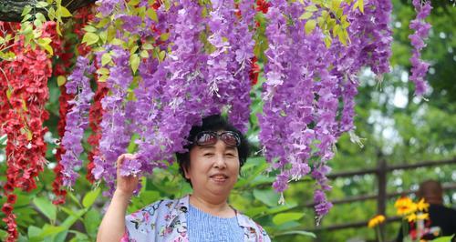 团结之花——向日葵的花语（向日葵花语的解读与启示）