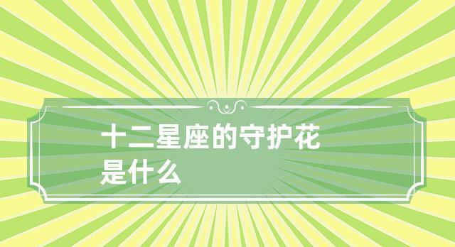 永恒的守护——以百合花的花语为主题（百合花的花语及其象征的守护之意）