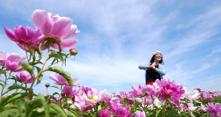 聆听心声，以百合花传达爱的语言（百合花语——倾听与沟通的完美象征）