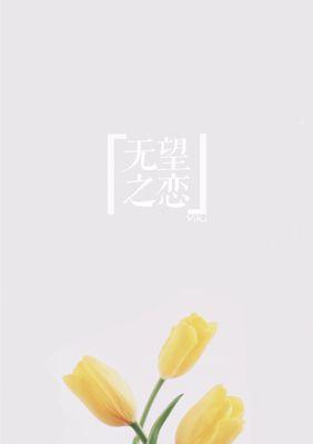 探寻北京夏菊的花语之美（夏菊的五彩斑斓与芬芳馥郁）