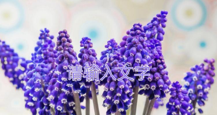 风信子花语与特性（解读风信子）