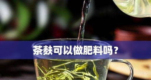 茶麸是优质有机肥料（以茶麸为基础的肥料制作技术与应用）