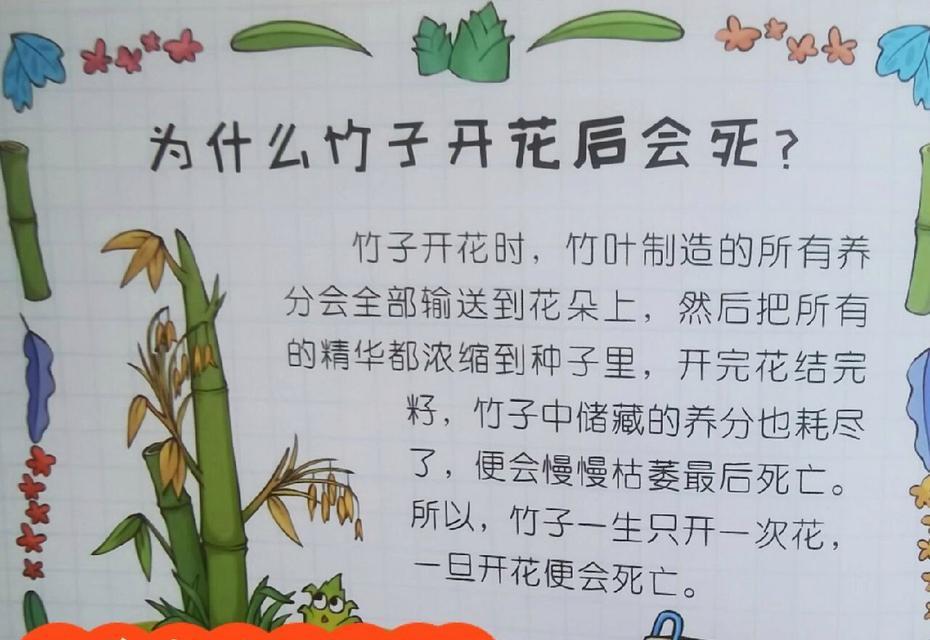 如何科学地浇水养护凤尾竹（掌握浇水时间和正确方法）