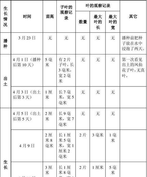 从零开始学种凤仙花（凤仙花种子怎么种植）