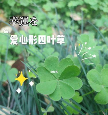 四叶草的寓意与象征意义（探寻四叶草的奥秘与吉祥之道）