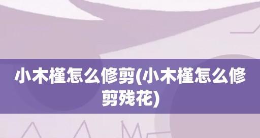 小木槿的摘心打顶时间与方法剖析（掌握摘心打顶）