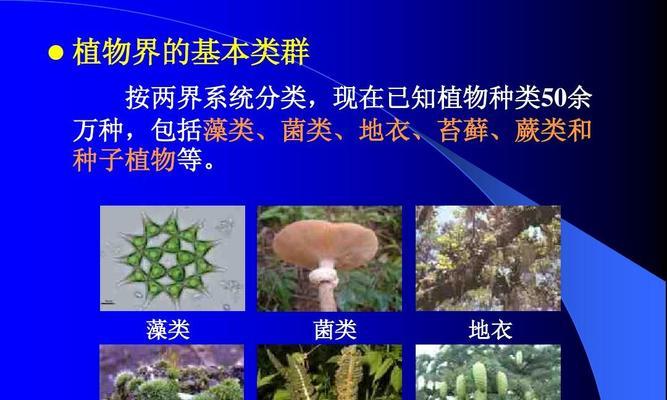 小球藻是否属于低等植物（探究小球藻的分类和特征）