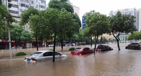 杭州暴雨，车库被淹，绿植遭殃（地库成水池）