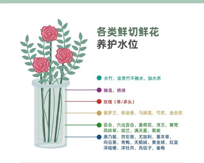 满天星花蔫了怎么办（教你恢复满天星花娇艳状态）