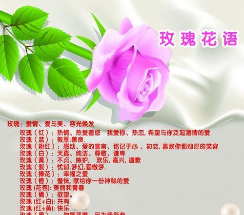 以西兰花的花语与寓意（探秘以西兰花的深层含义和象征意义）