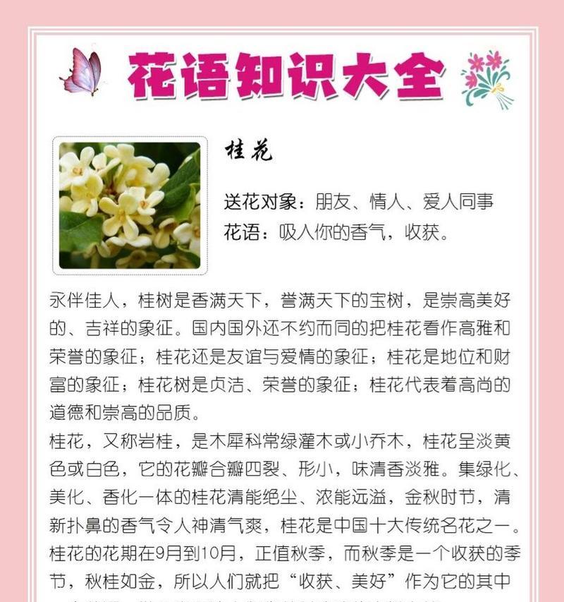 仙人指花语（揭秘仙人指花语的深层内涵）