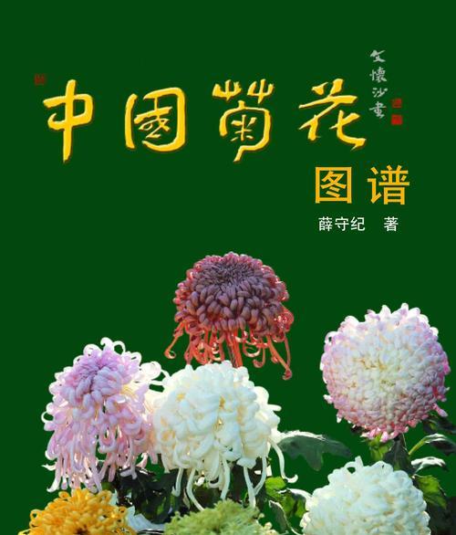 湘潭的市花——菊花的象征与寓意（湘潭市花菊花的美丽与意义）