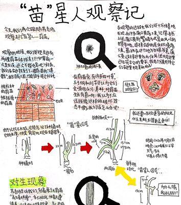 仙客来种子催芽方法（从种子到繁衍-打造属于你的绿色天地）