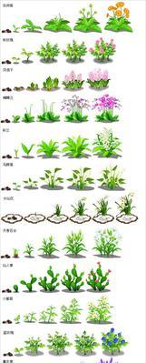 仙人球生长温度及其对植株生长的影响（探究仙人球最适宜的生长温度）