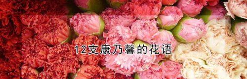 康乃馨花语与寓意解析（探索康乃馨花语的奥秘）