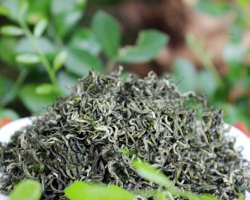 了解狗牯脑茶，探究神奇功效（探寻神秘的狗牯脑茶）