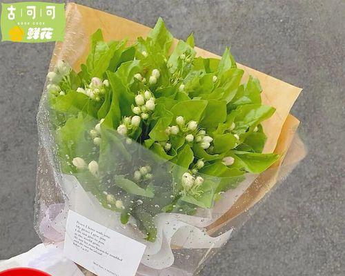 送茉莉花代表什么含义？茉莉花的花语有哪些？