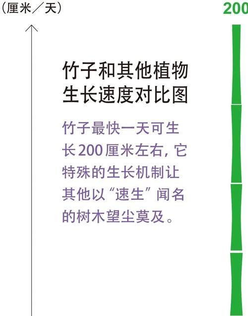 红竹水培养殖方法是什么？如何成功培养红竹？