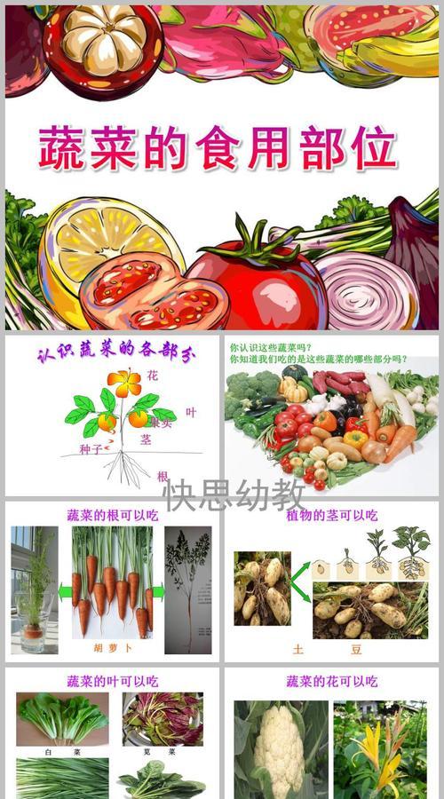 胡萝卜什么时候种植最合适？收获的最佳时机是什么时候？