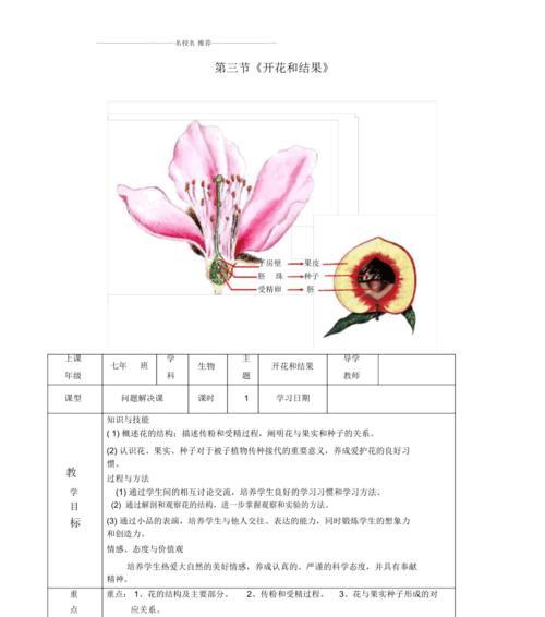 葫芦只长叶子不开花怎么办？如何解决？