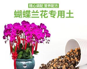 蝴蝶兰配土方法是什么？种植土壤如何选择？