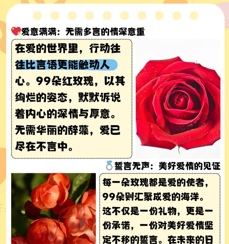 398朵玫瑰花的含义是什么？