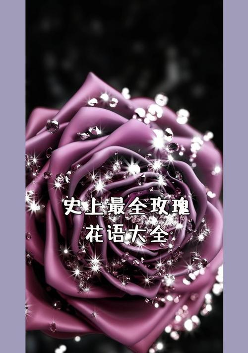 207朵玫瑰花代表什么？送花的正确含义是什么？