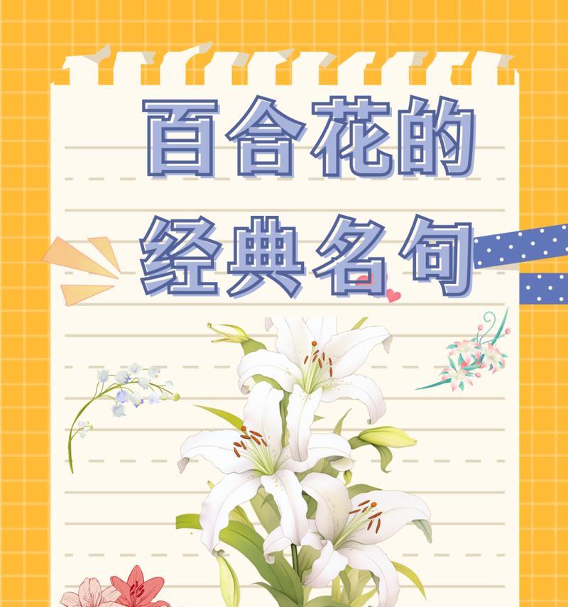 蓝百合玫瑰的花语是什么？