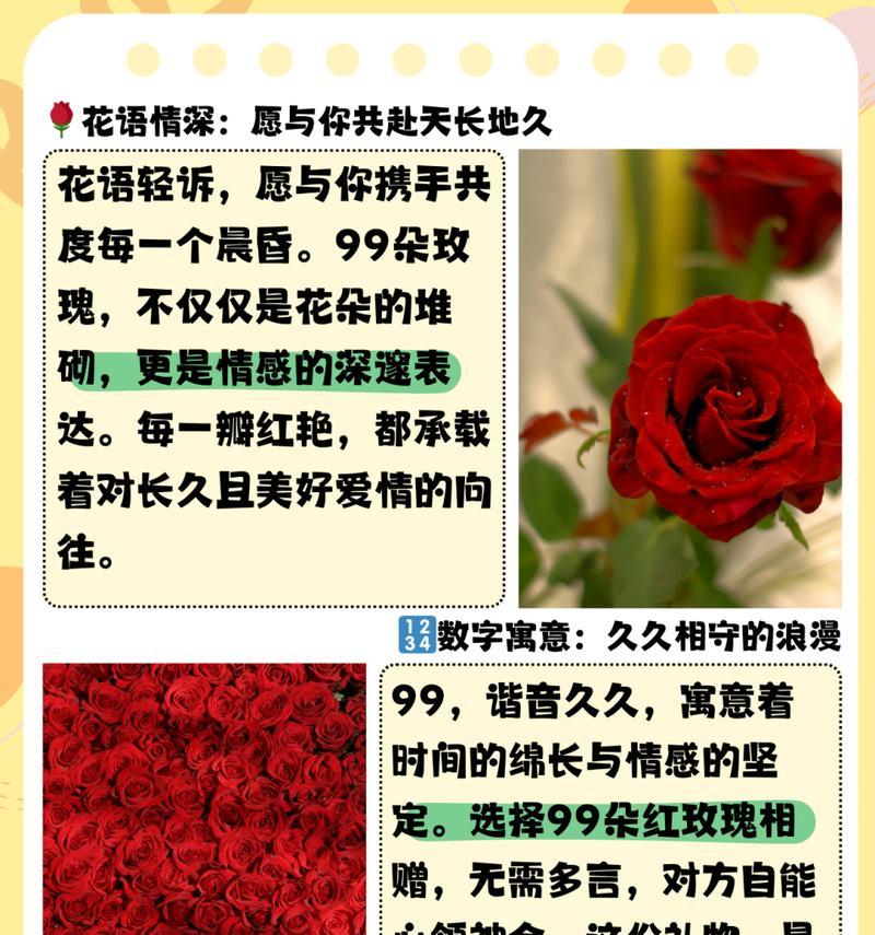 1166朵玫瑰花代表了什么？