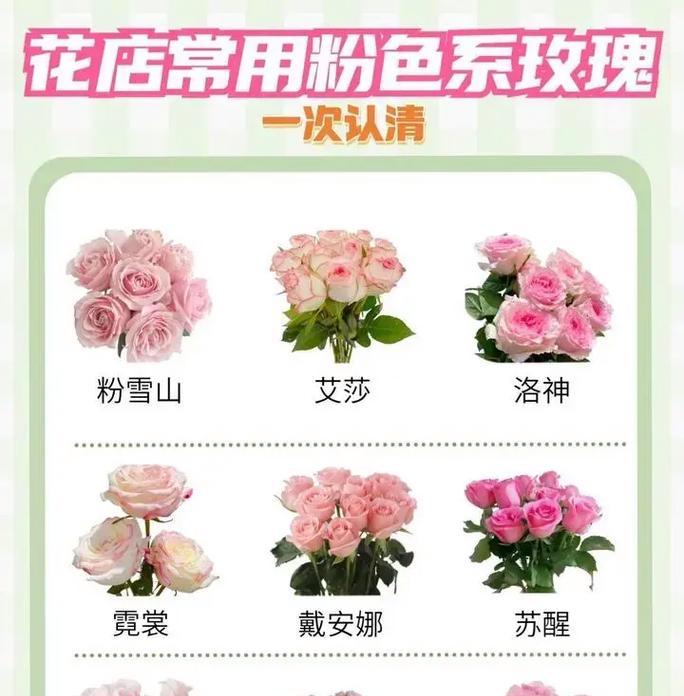 25朵红玫瑰花的含义是什么？哪里可以找到相关图片？