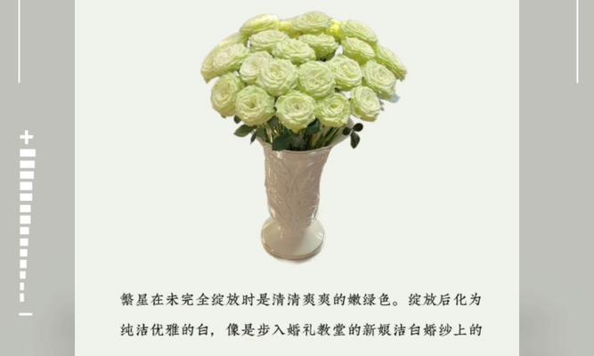 21朵玫瑰加3朵百合的花语是什么？它们的组合有何特殊含义？