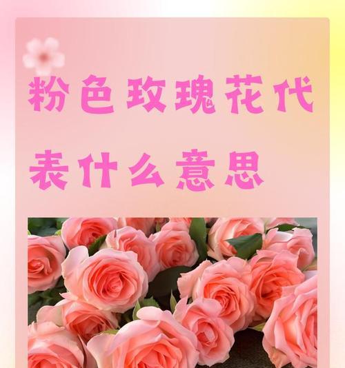 11朵粉色玫瑰花的风水意义是什么？粉色玫瑰象征着什么？