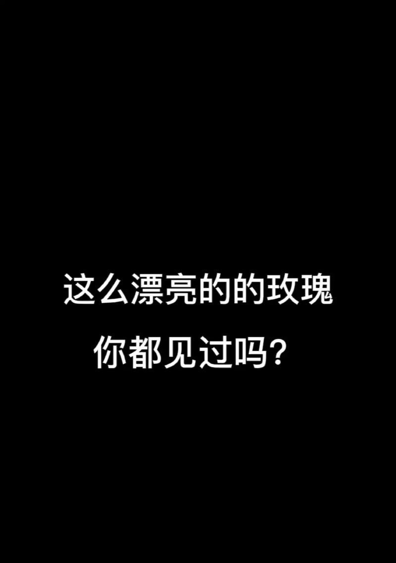 349朵玫瑰花代表什么含义？