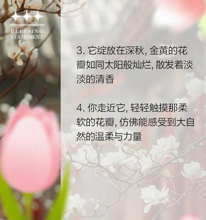 简短的菊花赞赏语录是什么？