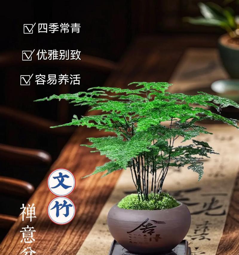 花卉4并的含义和用途是什么？