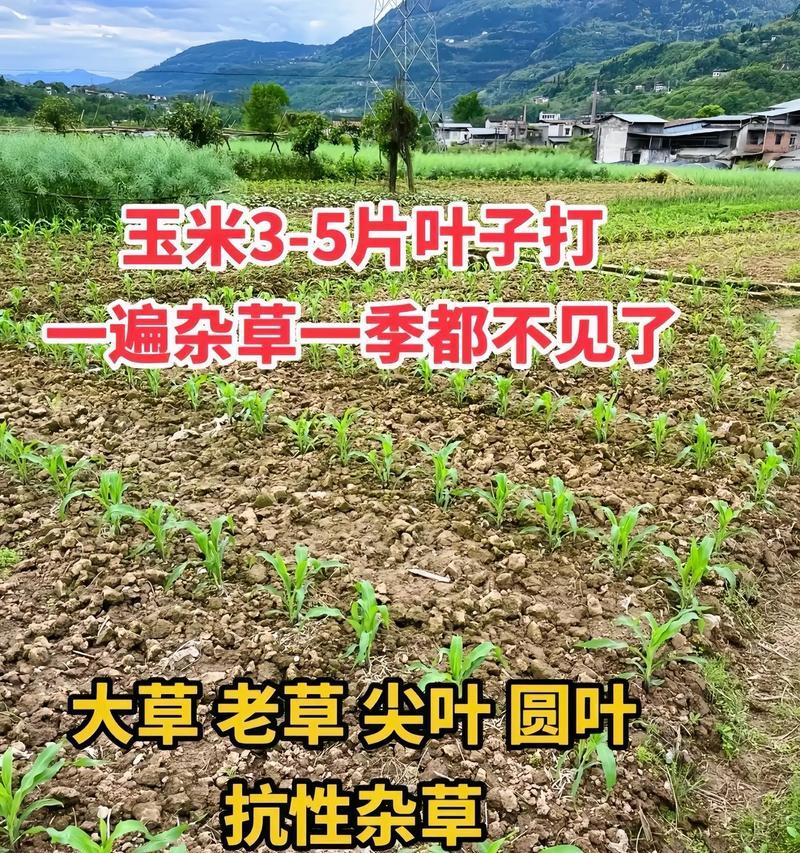 农药混料的正确使用方法是什么？