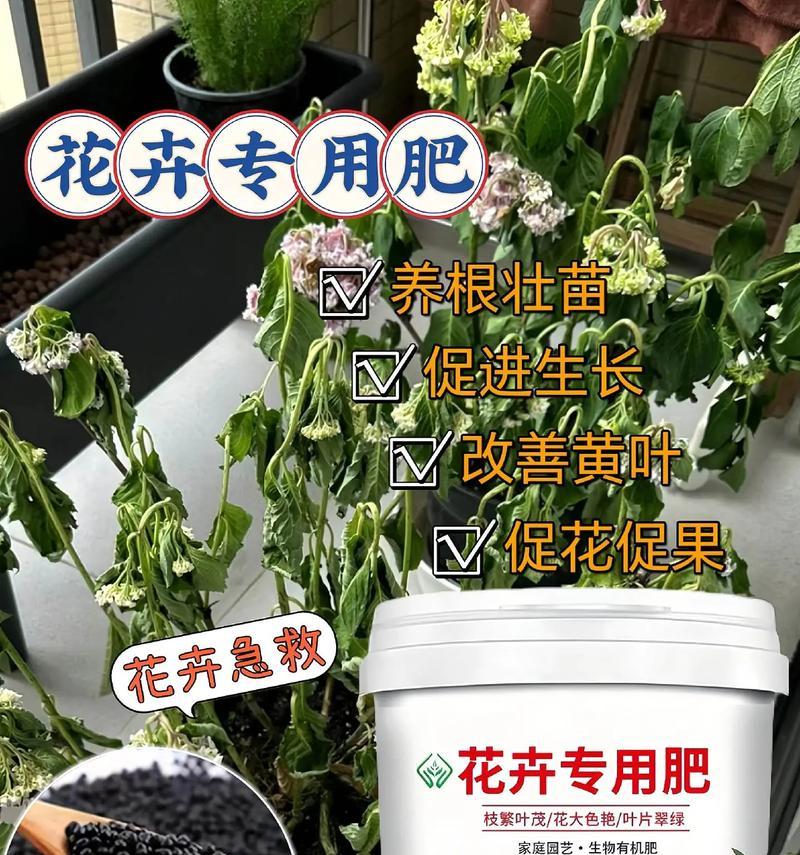 花卉专用肥的种类有哪些？使用方法是什么？