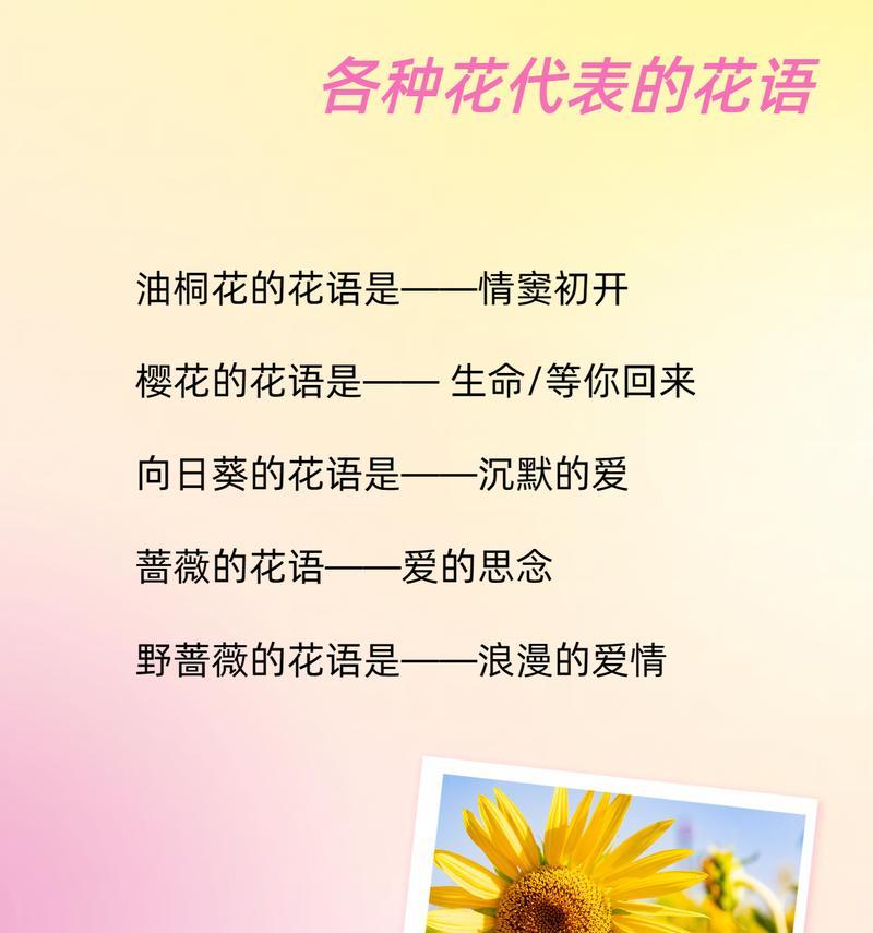 白玫瑰的花语有哪些深层含义？