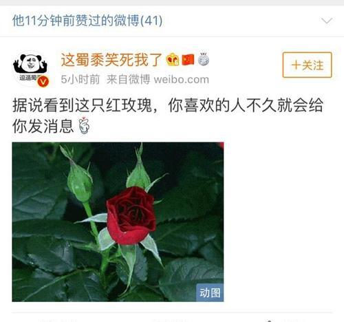 前任给新欢买玫瑰花的含义是什么？