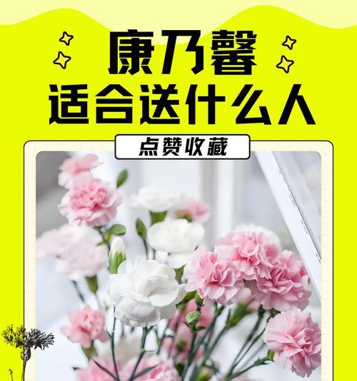 六朵康乃馨花束的含义是什么？