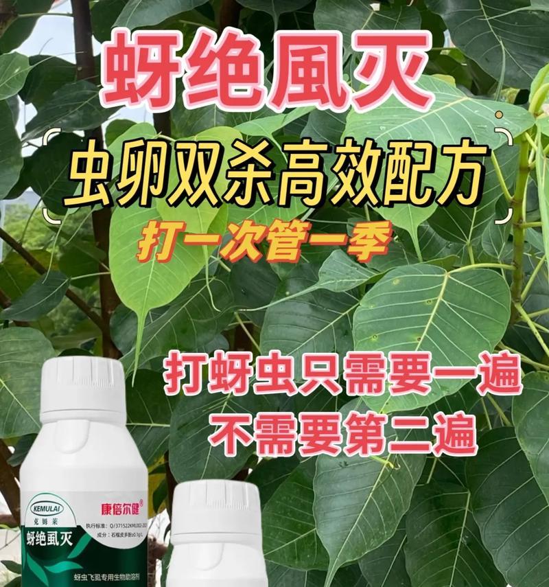 灭蚜虫的妙招有哪些？它的含义是什么？