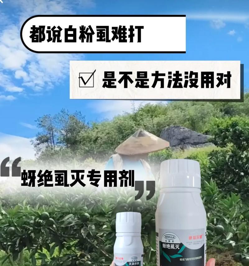 灭蚜虫的妙招有哪些？它的含义是什么？